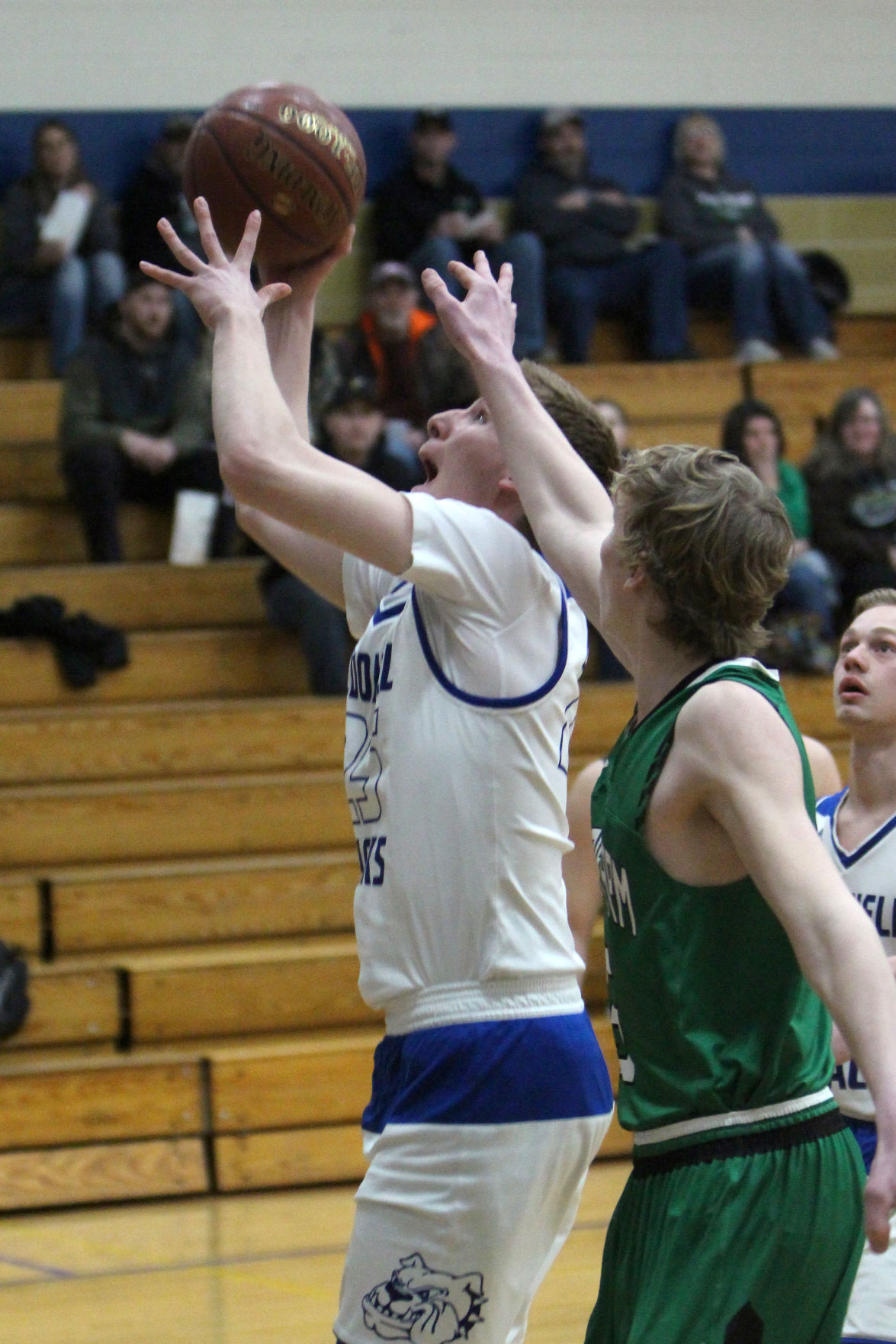 Prairie Farm at McDonell boys basketball 2-26-19